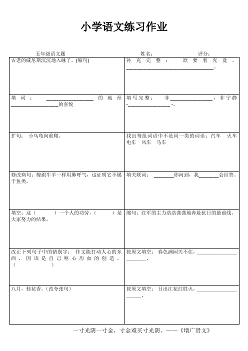 小学五年级语文精题选做III (30)