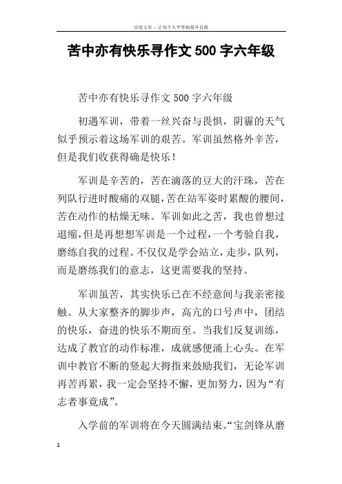 苦中亦有快乐寻作文500字六年级