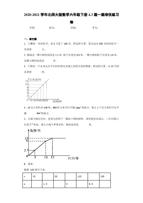 2020-2021学年北师大版数学六年级下册4.3画一画培优练习卷