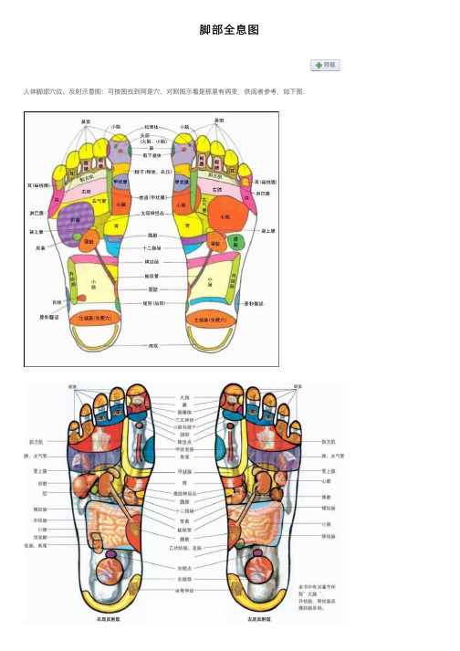 脚部全息图——精选推荐