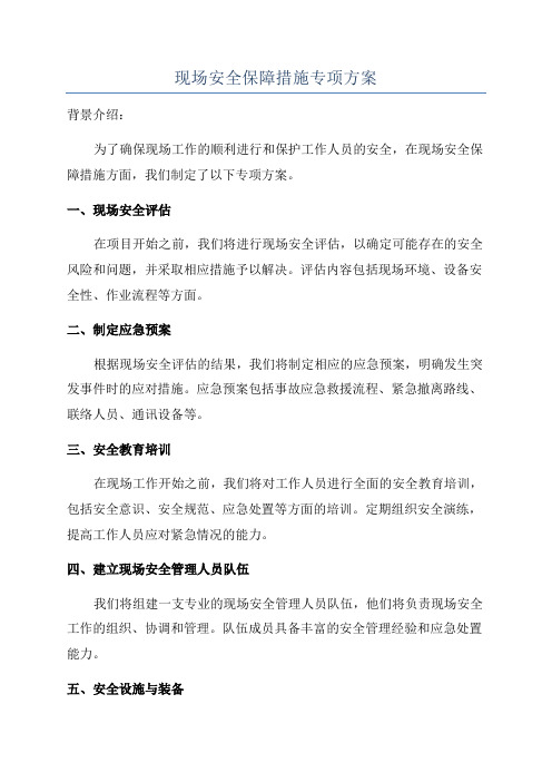 现场安全保障措施专项方案