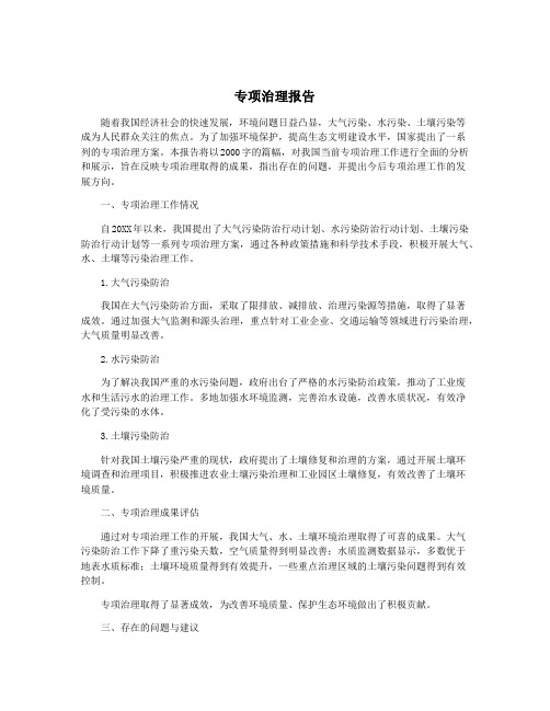 专项治理报告