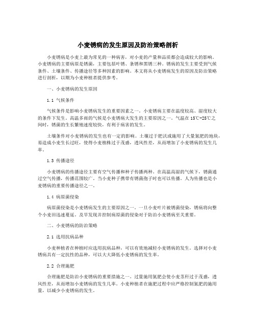 小麦锈病的发生原因及防治策略剖析