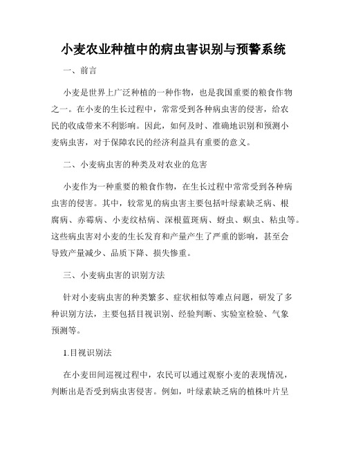 小麦农业种植中的病虫害识别与预警系统