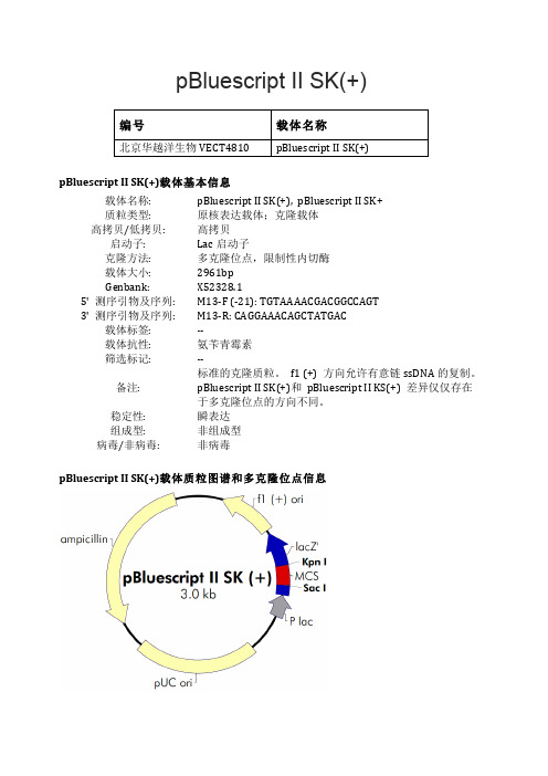 pBluescript II SK(+)载体说明