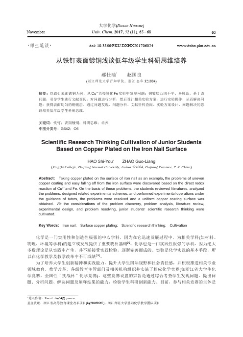 从铁钉表面镀铜浅谈低年级学生科研思维培养