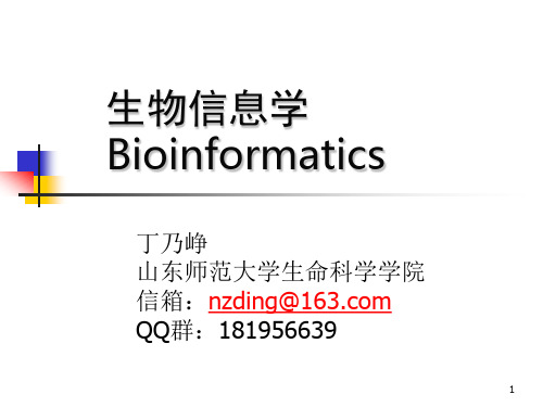 生物信息检索方法