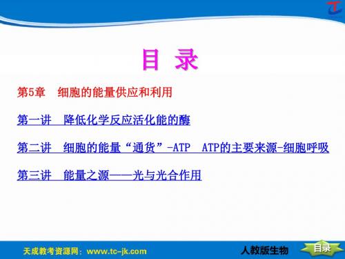 第5章细胞的能量供应和利用-文档资料