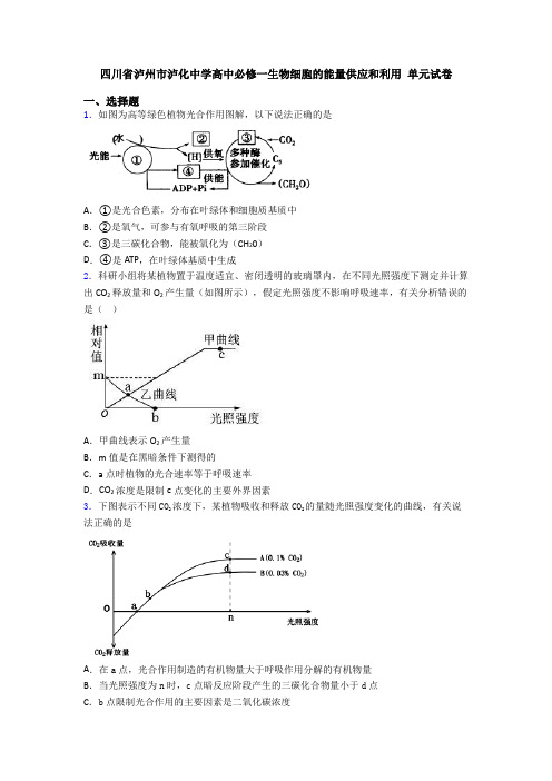 四川省泸州市泸化中学高中必修一生物细胞的能量供应和利用 单元试卷