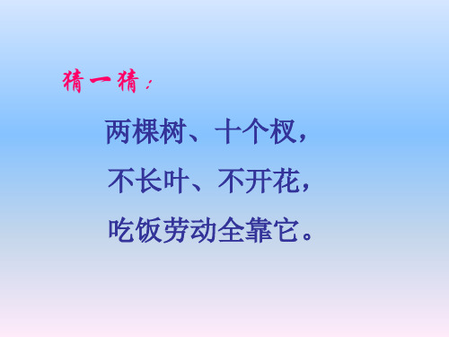 《理发师》2PPT课件