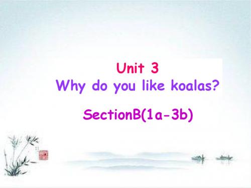 七年级英语下册  Unit 3 Why do you like koalas课件 人教新目标版