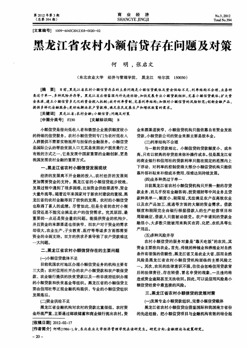 黑龙江省农村小额信贷存在问题及对策