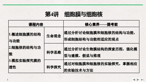 新高考2020生物选考总复习第4讲 细胞膜与细胞核课件