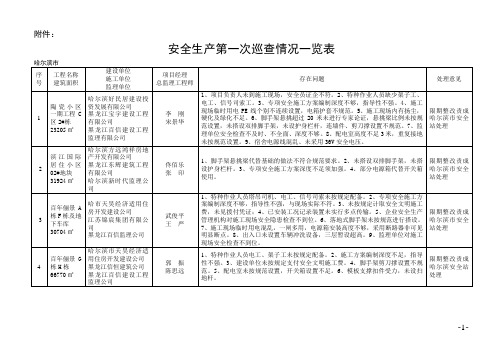 安全生产第一次巡查情况一览表