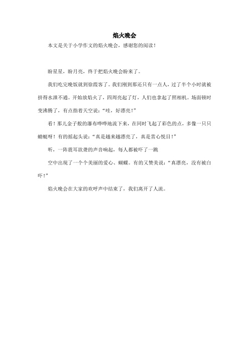 焰火晚会_小学作文_1