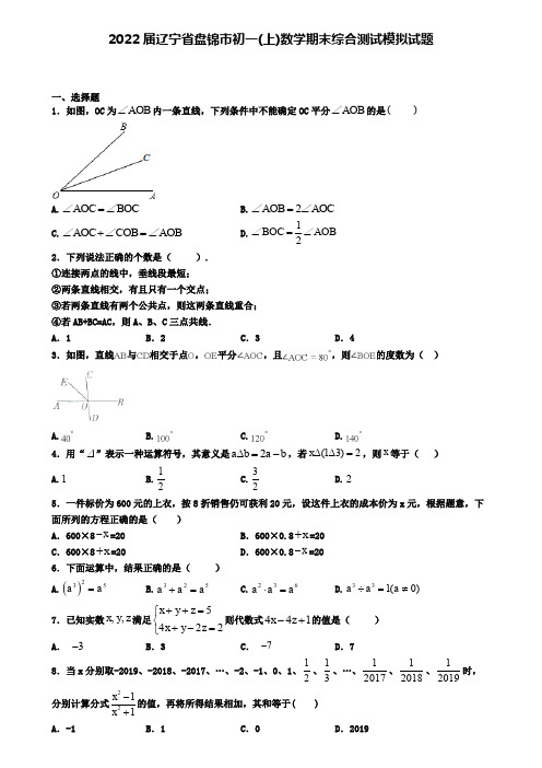 2022届辽宁省盘锦市初一(上)数学期末综合测试模拟试题