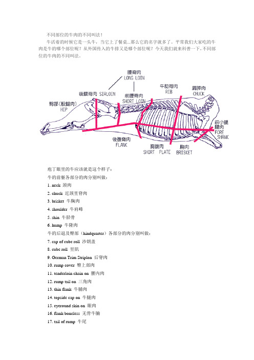 不同部位的牛肉的不同叫法