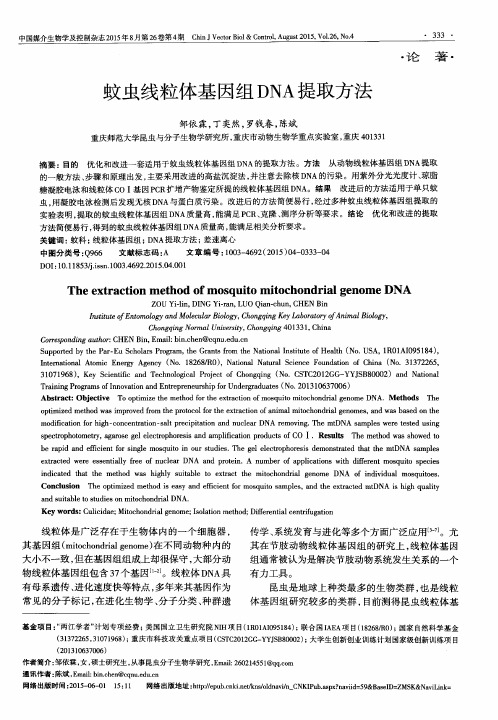 蚊虫线粒体基因组DNA提取方法