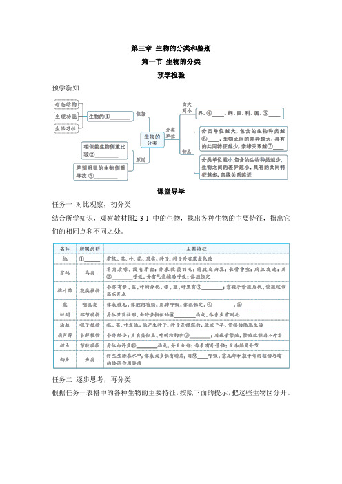 第三章 生物的分类和鉴别