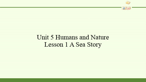 高中英语北师大版(2019)必修第二册-Unit 5 Humans and Nature Lesson 1 A Sea Story-课件(共20张PPT)