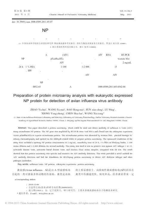 禽流感病毒NP基因的真核表达及抗体检测芯片的建立