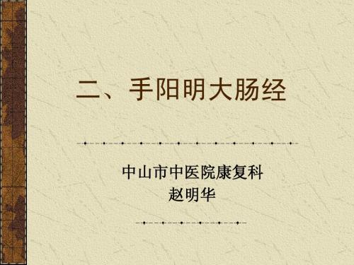 针灸十二经脉 大肠经