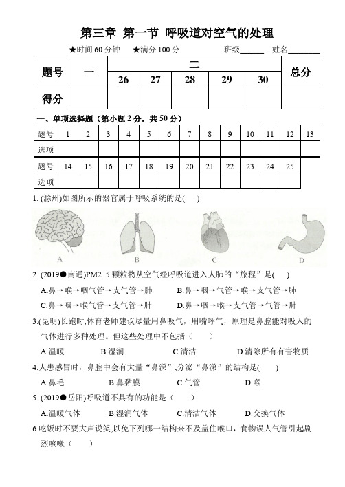 人教版七年级生物下册：  第四单元第三章  第一节 呼吸道对空气的处理  同步测试