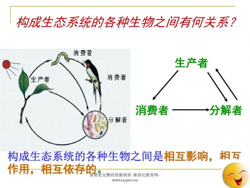 第二节 生物与环境组成生态系统课件(两课时)-3