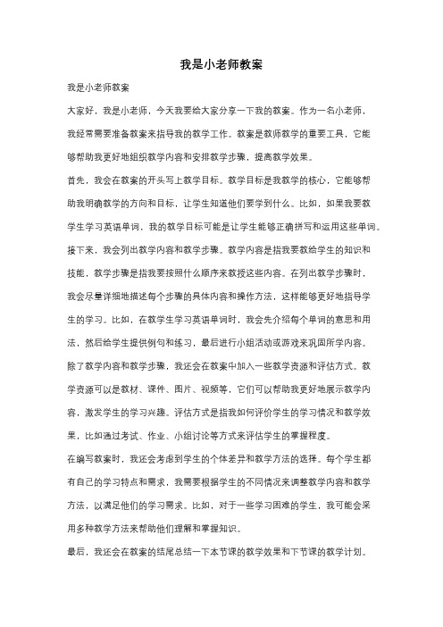 我是小老师教案