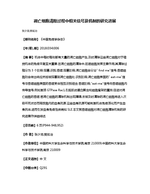 凋亡细胞清除过程中相关信号及机制的研究进展