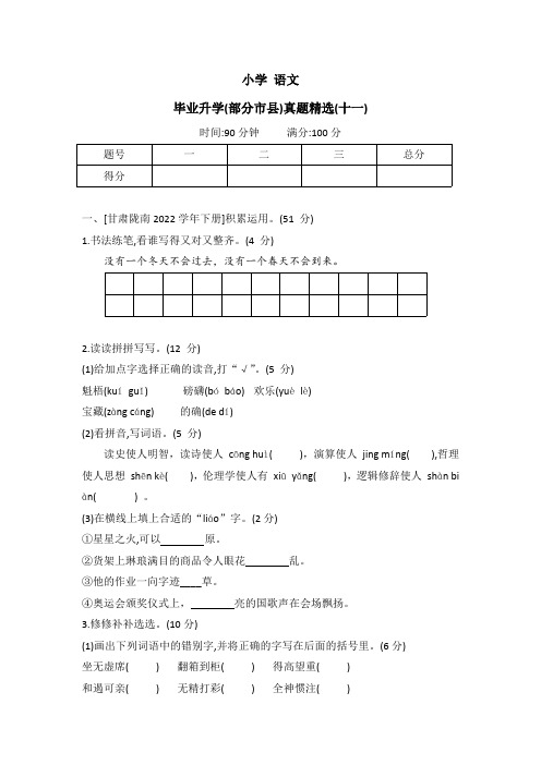 统编版语文六年级下册 毕业升学(部分市县)真题精选(十一)(有答案)