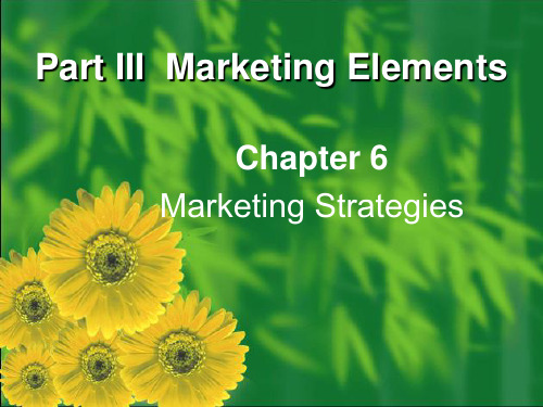 市场营销 (双语) Chapter 6 Marketing Strategies