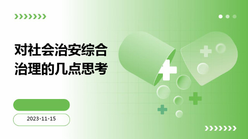 对社会治安综合治理的几点思考