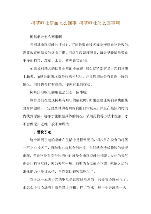 柯基呕吐便血怎么回事-柯基呕吐怎么回事啊