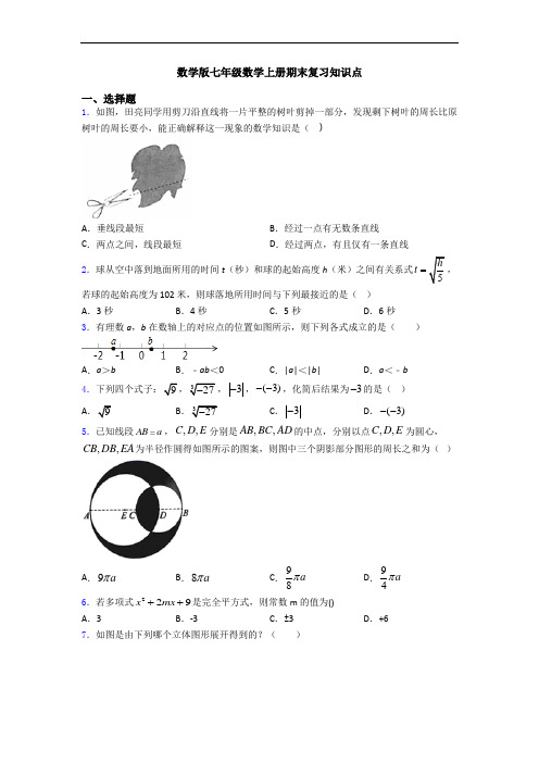 数学版七年级数学上册期末复习知识点