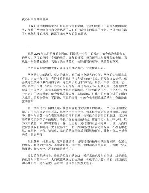 我心目中的网络世界