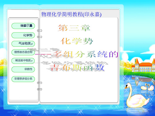 物理化学简明教程(印永嘉)-化学势ppt课件