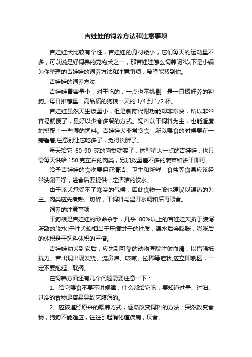 吉娃娃的饲养方法和注意事项