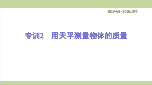 北师大版八年级上册物理 用天平测量物体的质量   重点专题练习课件