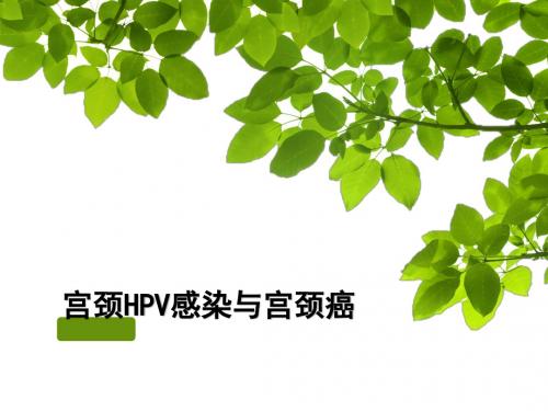 H P V感染与宫颈癌ppt课件