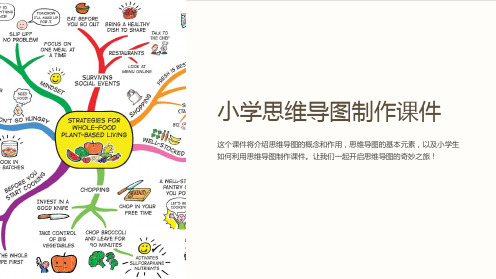 《小学思维导图制作课件》