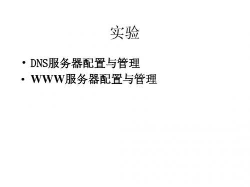 安装和配置DNS服务和WWW服务