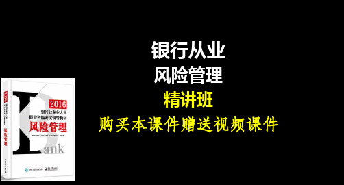 2016年银行业职业资格考试专业实务风险管理精讲班讲义课件(下)
