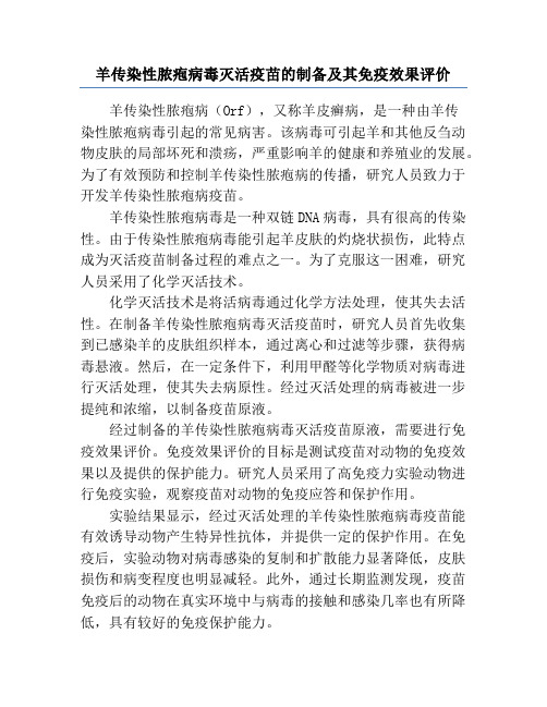 羊传染性脓疱病毒灭活疫苗的制备及其免疫效果评价