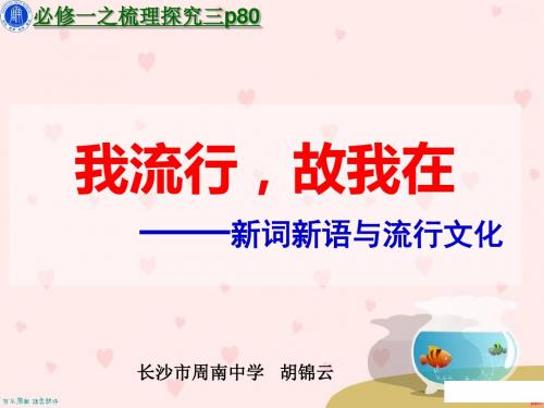 我流行,故我在——新词新语与流行文化ppt 