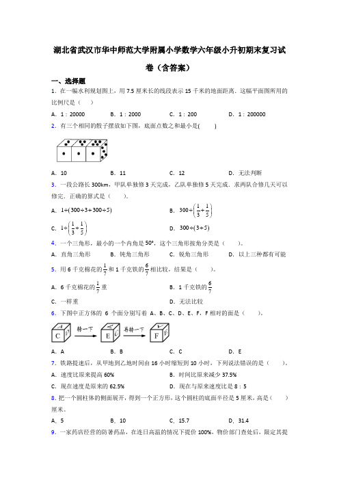 湖北省武汉市华中师范大学附属小学数学六年级小升初期末复习试卷(含答案)