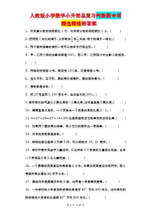 小升初总复习判断题(试题)六年级下册数学人教版