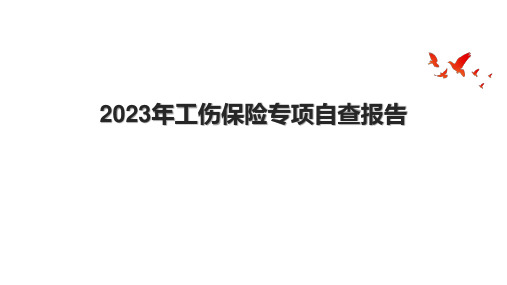 2023年工伤保险专项自查报告