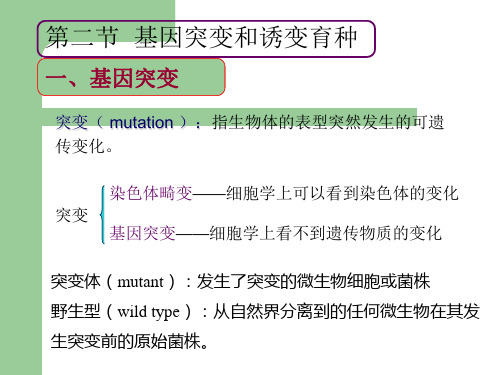 突变mutation指生物体的表型突然发生的可遗传变化