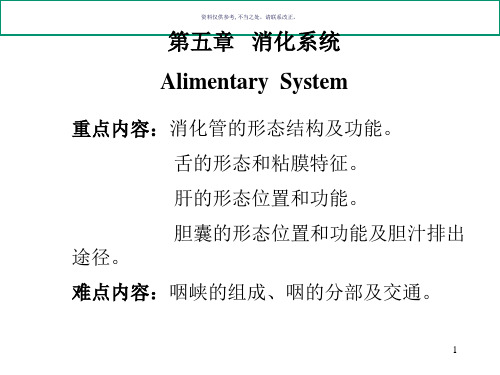 系统解剖学内脏学